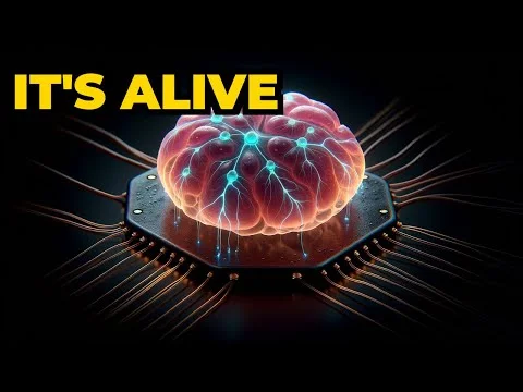 Can Scientists Really Grow Brain Computers From Human Cells?