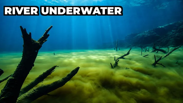 What Is the Underwater River Inside Cenote Angelita in Mexico?