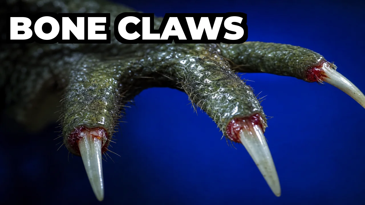 What Frog Breaks Its Own Bones to Make Claws?