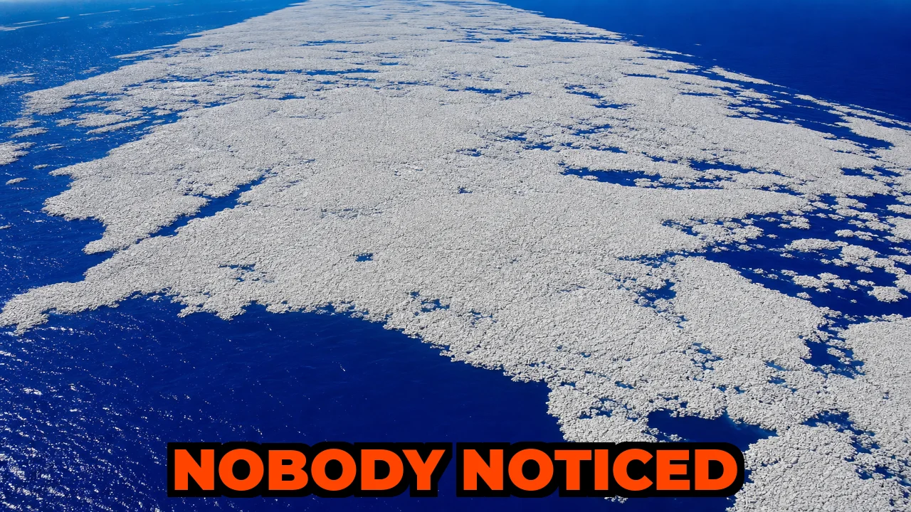 What Was the Largest Deep-Sea Volcanic Eruption in Modern History?
