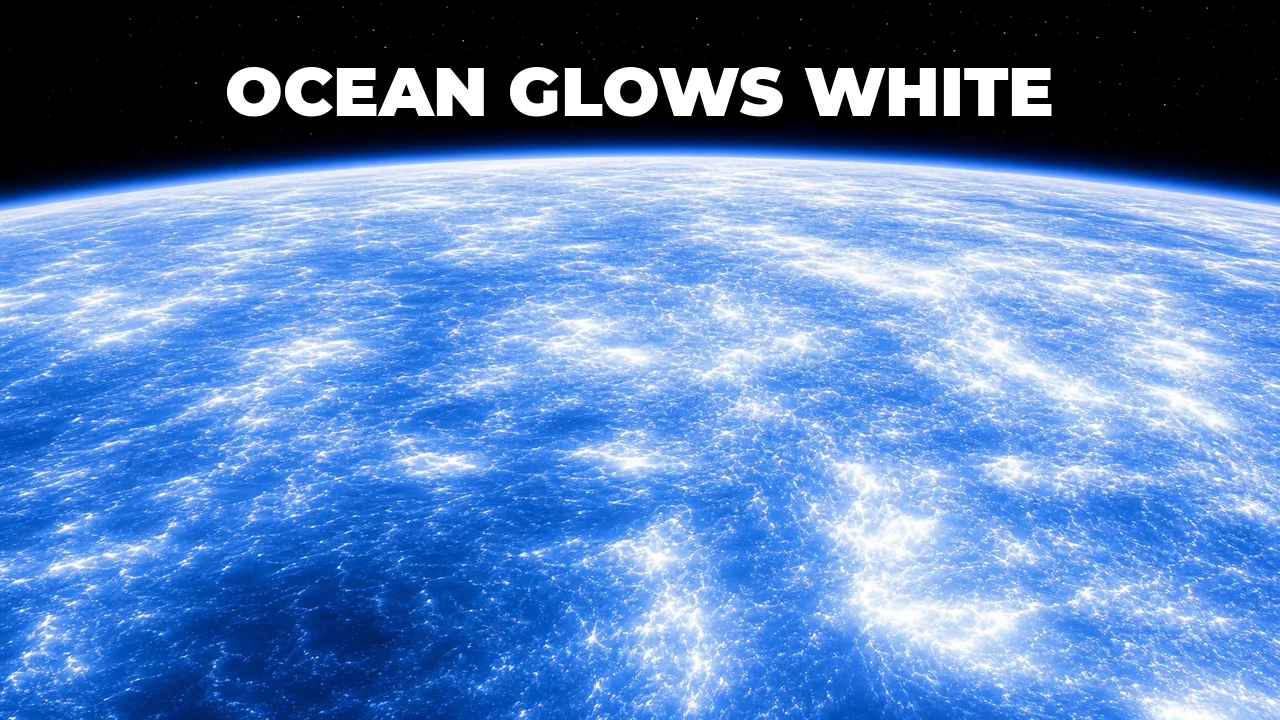 What Is the Milky Sea Phenomenon?