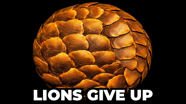 What Is the Only Mammal Covered in Scales?