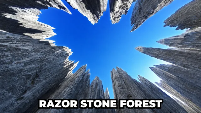 What Is the World's Largest Stone Forest Made of Razor-Sharp Limestone?