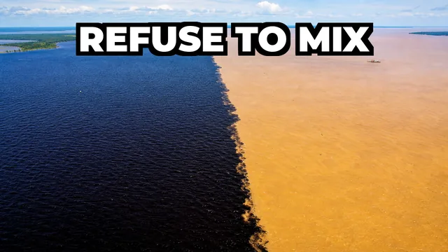 Where Do Two Oceans Meet But Refuse to Mix?